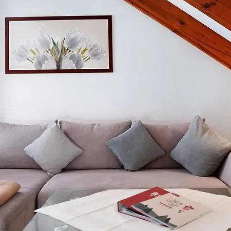 Feriehus Haus Titisee-Neustadt