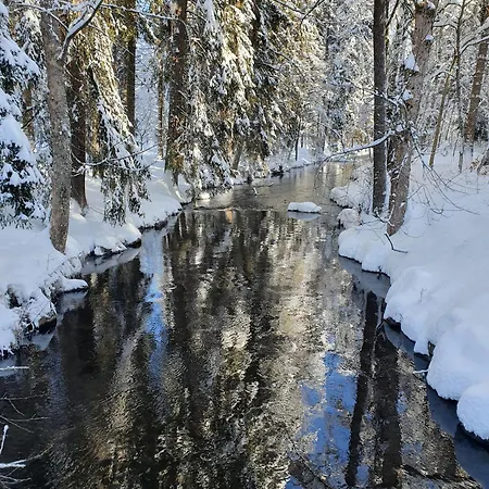 Feriehus Haus Titisee-Neustadt