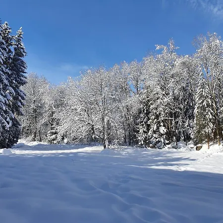 Haus Titisee-Neustadt