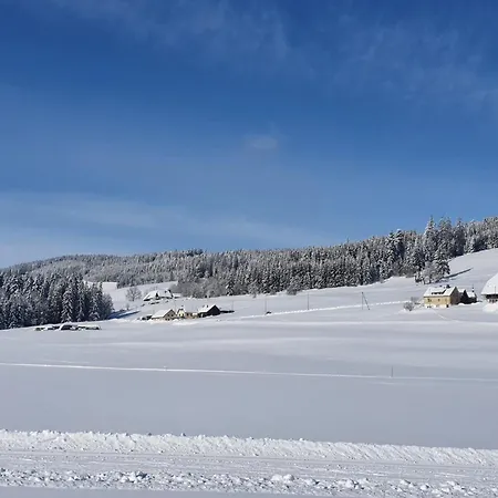 Haus Feriehus Titisee-Neustadt