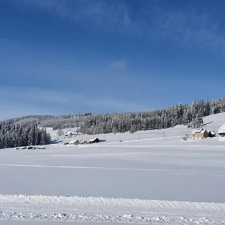 Haus Apartmán Titisee-Neustadt