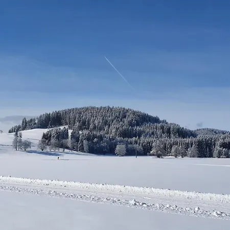 Haus Titisee-Neustadt