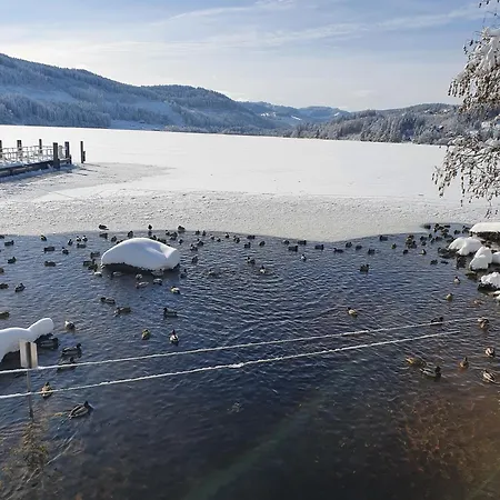 Lägenhet Haus Titisee-Neustadt
